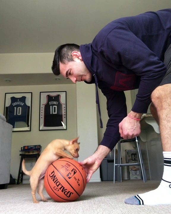 Adorable Doggy Balances on a Ball