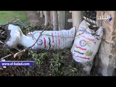 صدى البلد | امام مسجد التقوى بالمهندسين يستغيث بالمصلين لرفع اكوام القمامة بعد تجاهل حى الدقى