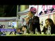 صدى البلد | «الفضالى» فى مؤتمر بكفرالشيخ : رفضنا ترشيح وزراء سابقين بـ «تيار الاستقلال»