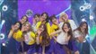 [STAR ZOOM IN] 프리스틴(PRISTIN)_WEE WOO(위우) Stage mix 170224 EP.16