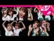 [MV Commentary Bonus track] TWICE - SIGNAL 셀프캠 MV 공개!