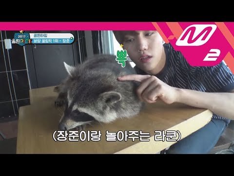 [2017 WoollimPICK] Golden Time with Jangjun in raccoon cafe EP.3