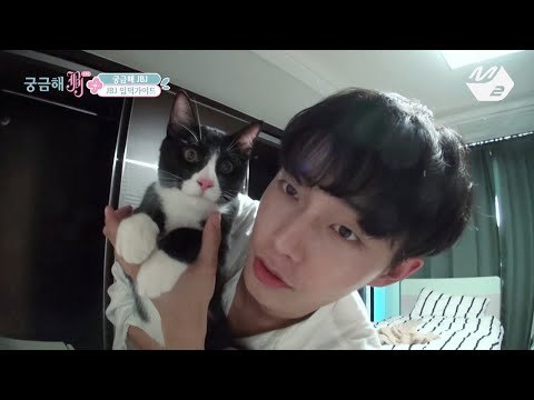 [JustBeJoyful JBJ] #3 Becoming a fan of JBJ in 2 minutes Ep.1