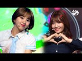 [STAR ZOOM IN] 트와이스(TWICE)_SIGNAL stage mix ver. 171027 EP.75