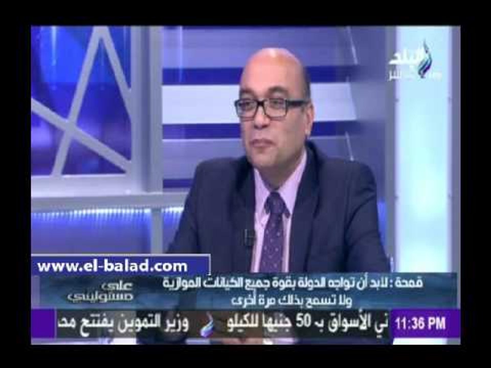 صدى البلد | رئيس بحوث الرأي: المعارضة في  البرلمان ستكون محدودة ولن تبث الخلاف