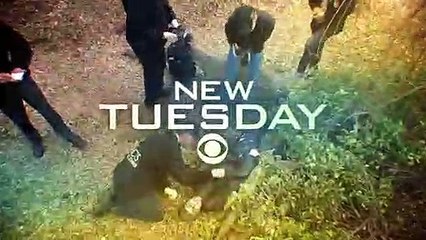 NCIS S16E16 Bears and Cubs