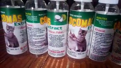 [PUSAT GROSIR] Obat Kutu Kucing Purbalingga, 0821 3543 9895