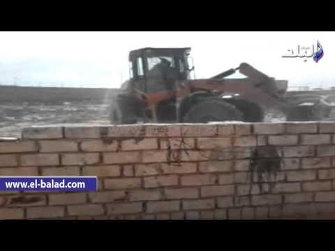 صدى البلد | حملة لإزالة 56 حالة تعد على أراضي الدولة بمطروح