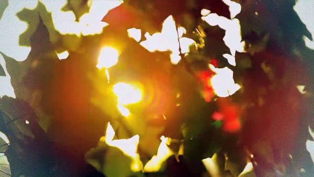 A vendre - Appartement - Bulle (1630) - 3.5 pièces - 90m²