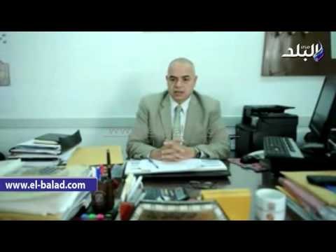 صدى البلد | الادارة المركزية للتعداد: يجب علي الجميع التكاتف لحل مشكلة الزيادة السكانية