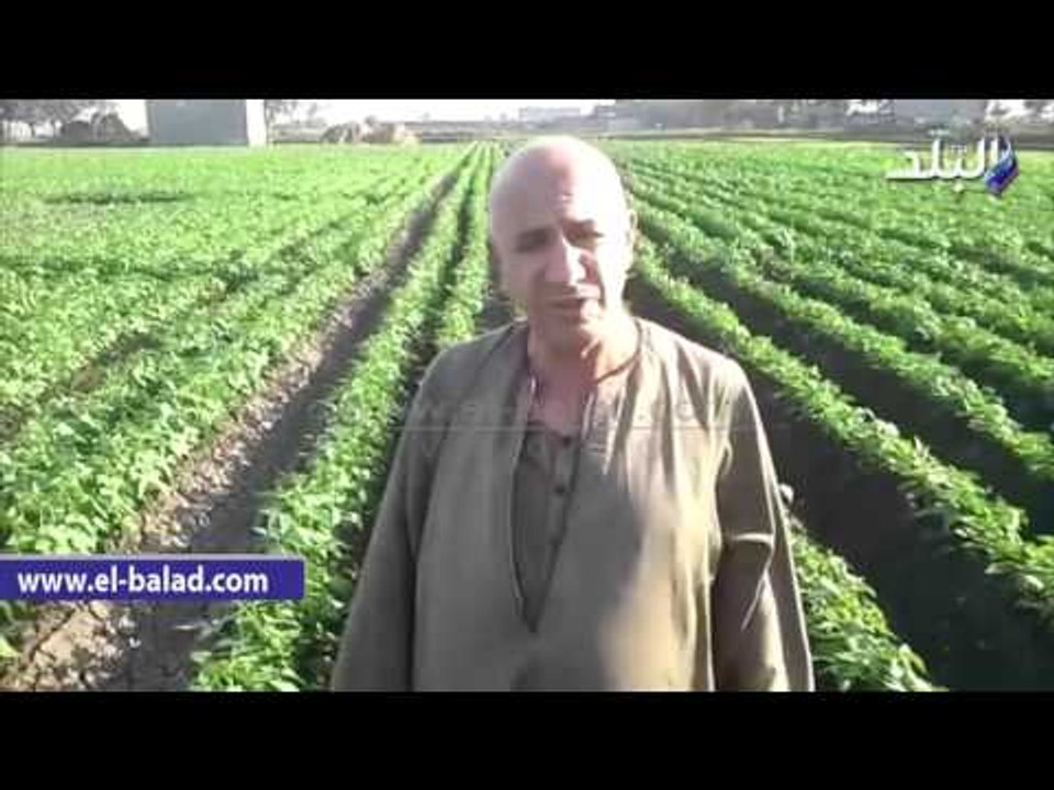 صدى البلد |  مشكلات الصرف الصحي وانقطاع المياه والتلوث والقمامة مشكلات مزمنة بمحافظةالغربية