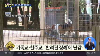 [핫플]기독교·천주교, ‘반려견 장례’에 난감