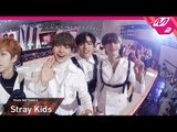 [2018MAMA x M2] 스트레이 키즈(Stray Kids) Ending Finale Self Camera in KOREA