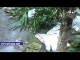 صدى البلد |أكوام القمامة تحاصر ضريح سعد زغلول