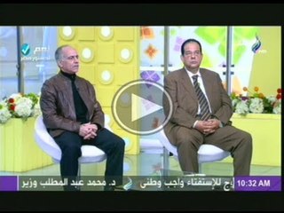 اللواء محمود زاهر واللواء طارق حماد والحديث عن كيفية تأمين الاستفتاء