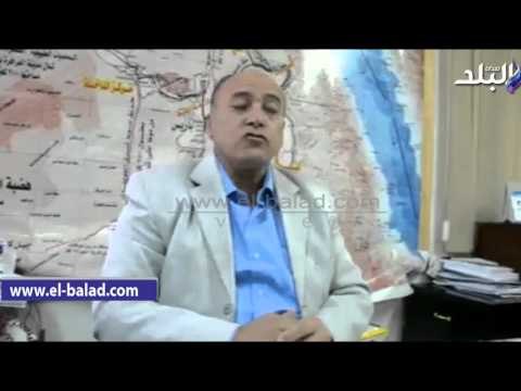 صدى البلد | زراعة الوادي الجديد:السيطرة على مرض سوسة النخيل بالمحافظة