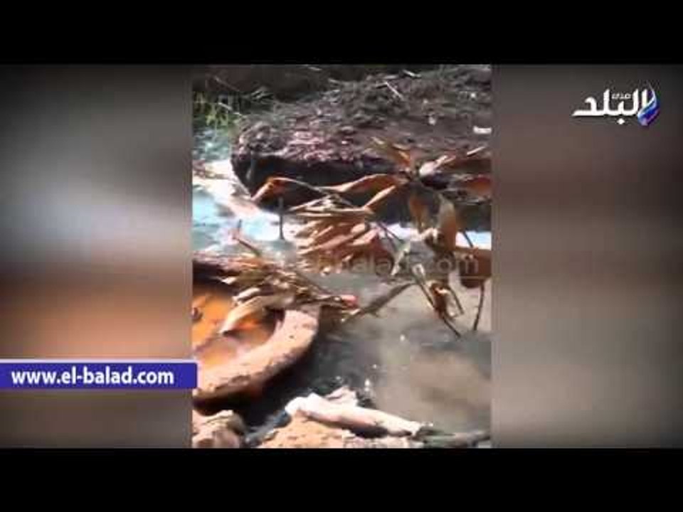 صدى البلد | مياه الصرف الصحى "تعانق" مياه الترع بقرى سنورس في الفيوم