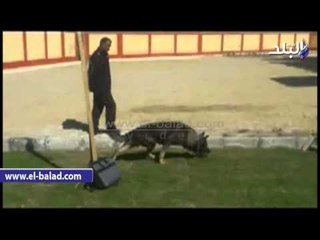 صدى البلد | قيادات أمن الأقصر يزورون «مدرسة المتفوقين»