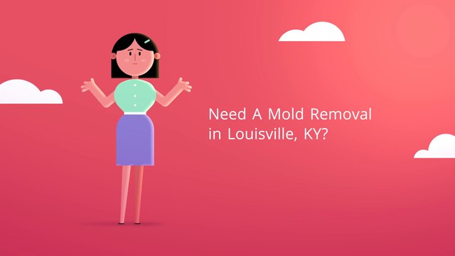 Mold Removal in Louisville KY
