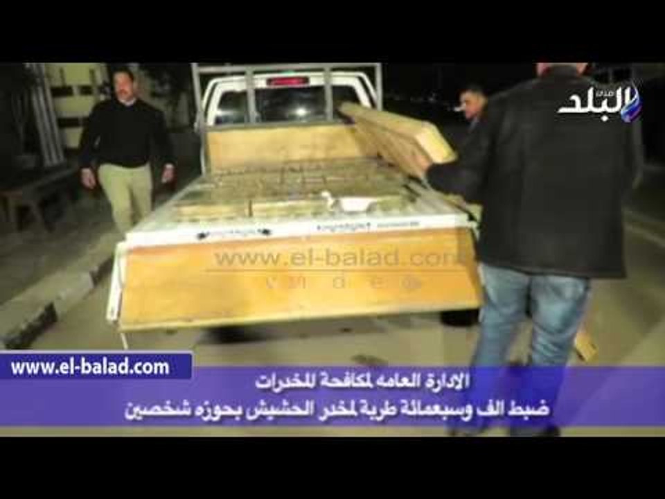 صدى البلد | "مكافحة المخدرات" تضبط شخصين بحوزتهما 1700 طربة حشيش