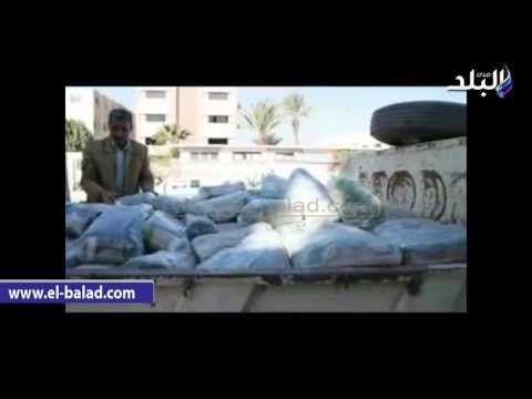 صدى البلد | الفيوم تستقبل كميات كبيرة من السلع والمواد الغذائية المدعمة