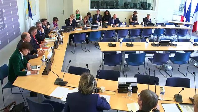 Commission des affaires européennes : M. Enrico Letta, ancien Président du Conseil italien - Jeudi 7 mars 2019