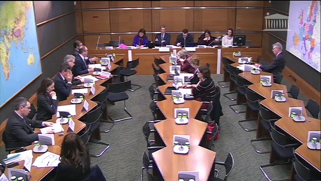 Freins à la transition énergétique : Auditions sur les grands groupes et sur les visions pour l'avenir - Jeudi 7 mars 2019