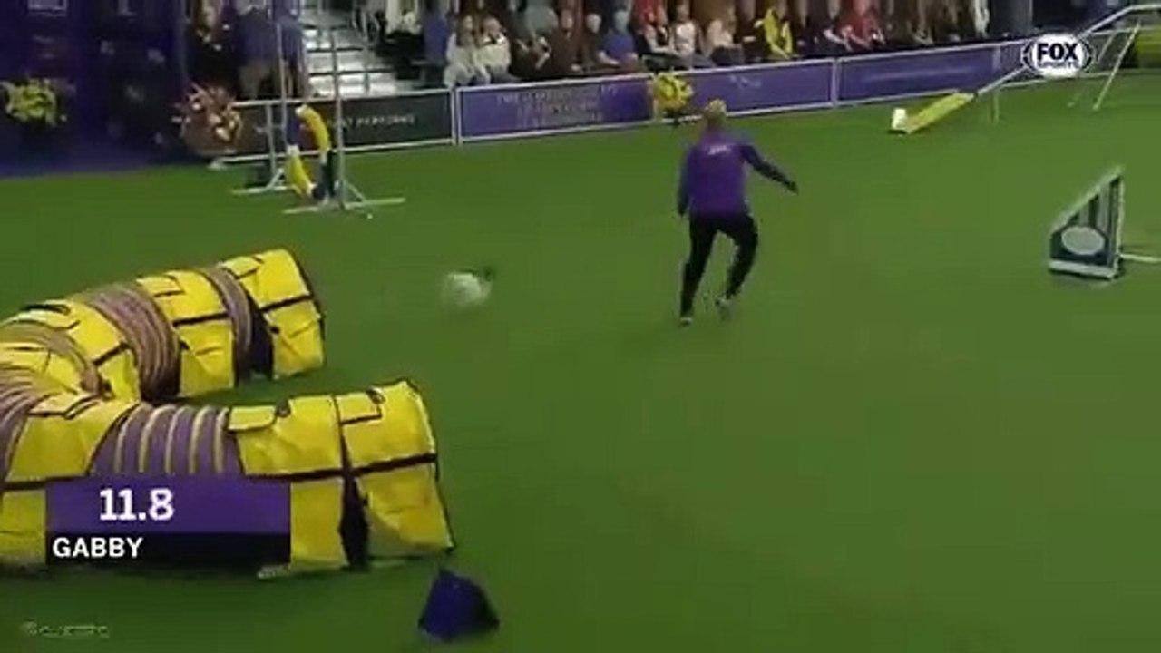Like watching Kylian Mbappé on the pitch