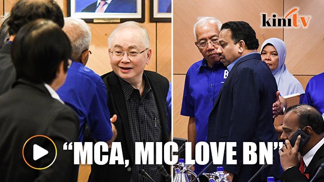 Mat Hasan: MCA, MIC love BN