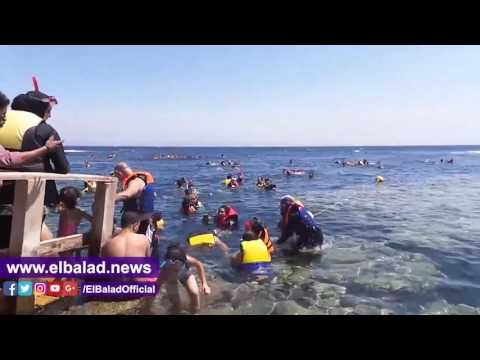 صدى البلد | الشعب المرجانية بـ البلو هول بدهب تواجه خطر الإندثار.. التناقص بلغ 20%