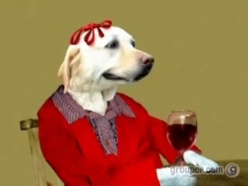 Dog Judo Episode One