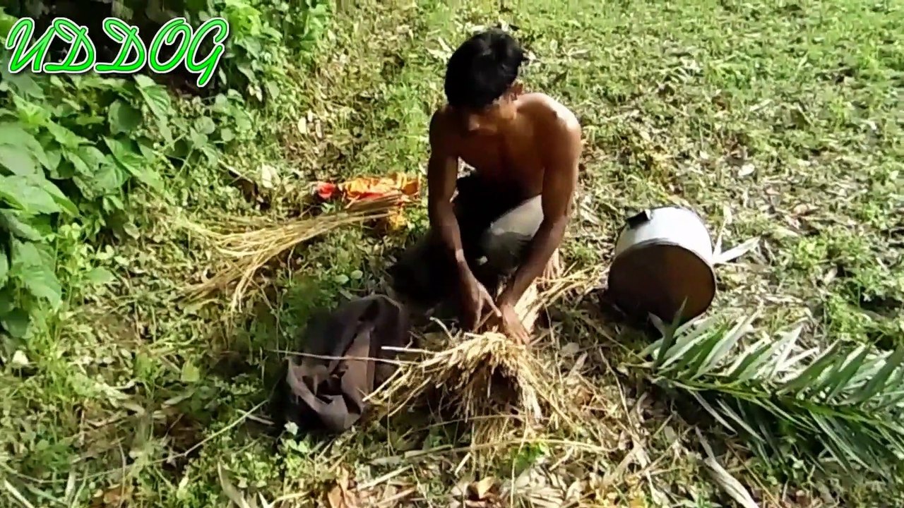 Natural Honey Collection in The Village Forest HD