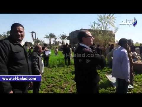 صدى البلد | إزالة 54 حالة تعد على الأراضى الزراعية بالأقصر