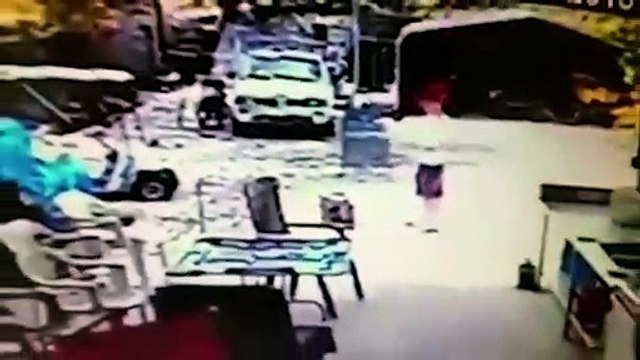 Florida Teen Lit Caged Cat On Fire And Fed Remains To His Dogs