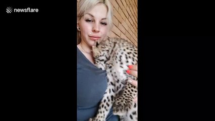 This baby leopard really loves hugs