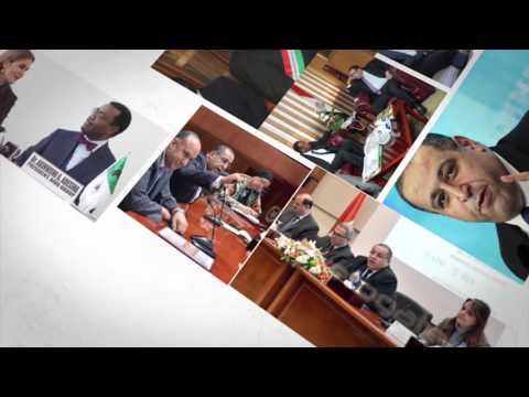 صدى البلد | هيئة الاستثمار : ( مصر قلب افريقيا .. و افريقيا في قلب مصر )