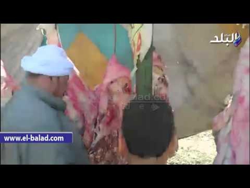 صدى البلد |  حملة تموينية مكبرة علي منافذ بيع اللحوم بالفيوم