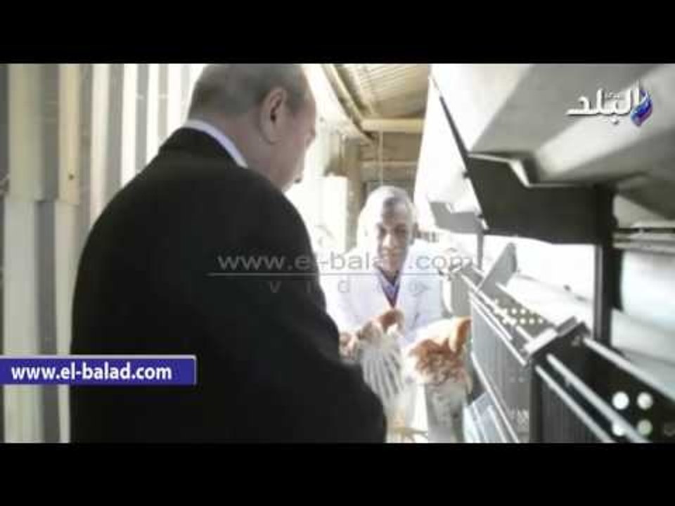 صدى البلد |محافظ المنيا يتفقد مشروع دواجن شوشة لمتابعة أعمال التطوير