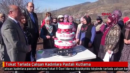 Tokat Tarlada Çalışan Kadınlara Pastalı Kutlama