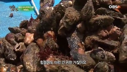 강진출장안마 -100%미인ョØ7Øf7333a9649【WKD528톡문의】강진전지역출장마사지샵강진출장go안마ok강진출장마사지황형ゐゑを콜걸샵섹시한몸매