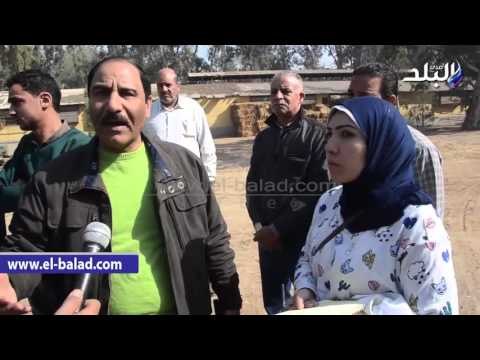 صدى البلد | نائب عين شمس لصدي البلد لابد من تخصيص وزارة الزراعة نسبة من المزادات