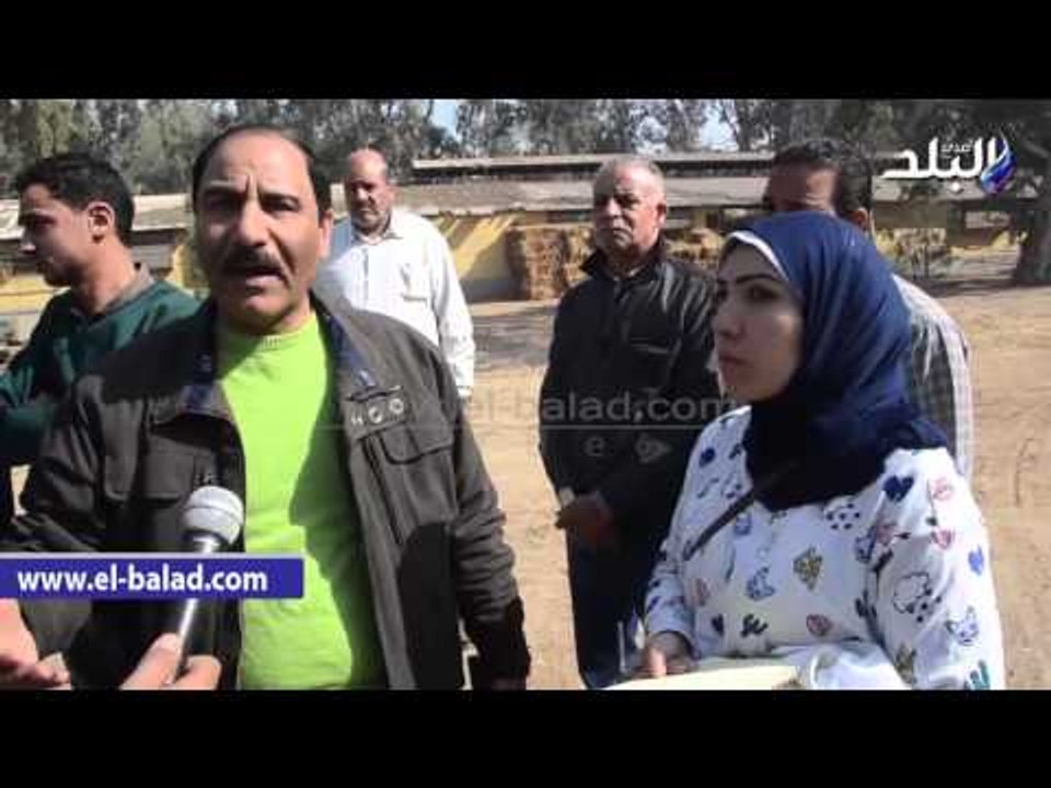 صدى البلد | نائب عين شمس" لصدي البلد " لابد من...