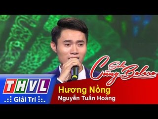 THVL | Solo cùng Bolero 2015 – Tập 9: Hương Nồng - Nguyễn Tuấn Hoàng