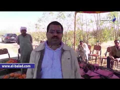 صدى البلد | استشارى زراعى بجنوب سيناء طور سيناء بها خزان جوفى 30 مليار متر مكعب مياه