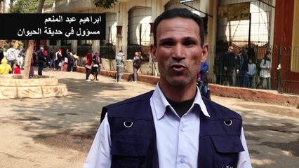 مشروبات ساخنة للقردة في حديقة حيوانات الجيزة لتتأقلم مع البرد