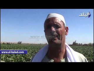 صدى البلد | نجاح القوافل الدينية لأوقاف الفيوم بقرى مركزأطسا اليوم