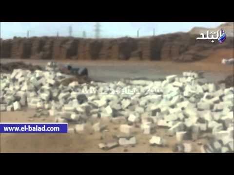 صدى البلد | ازالة 32 ألف متراً تعديات بناحية العلالمة شرق النيل ببني سويف