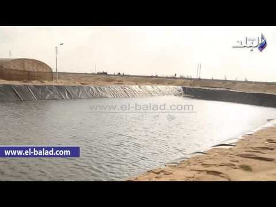 صدى البلد | نظام ري متكامل بقرية الأمل بالاسماعيلية.. و75 حوض تخزين مياة