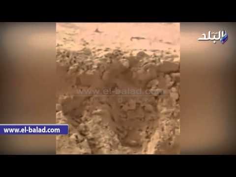صدى البلد | رهبان الدير المنحوت بالفيوم يستأنفون بناء السور بعد ساعات من إزالته