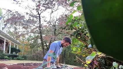 Best of  2019 AFV Funniest Videos 2019